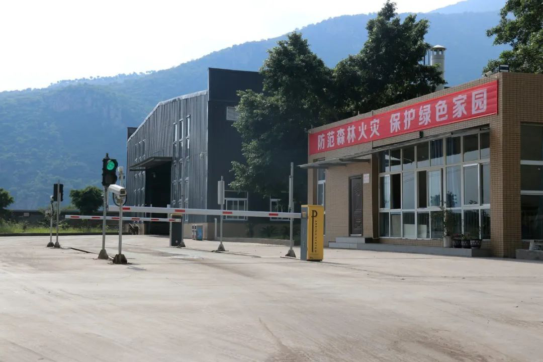 昔日“垃圾山”今朝“花海洋” 西區這個地方美出新高度 昔日“垃圾山”今朝“花海洋” 西區這個地方美出新高度