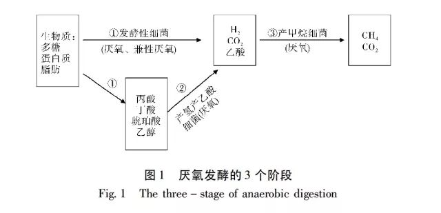 干式厭氧發酵技術在城市環保中的作用 干式厭氧發酵技術在城市環保中的作用