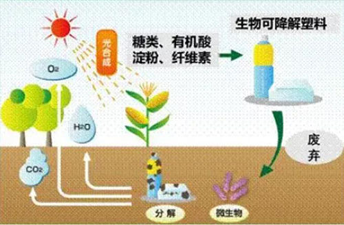 “可降解塑料”不是塑料嗎？